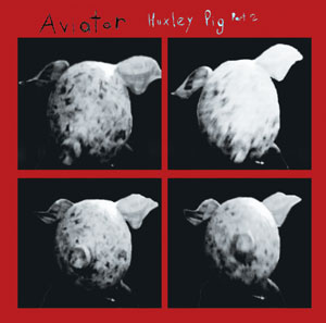 Aviator Huxley Pig Part 2